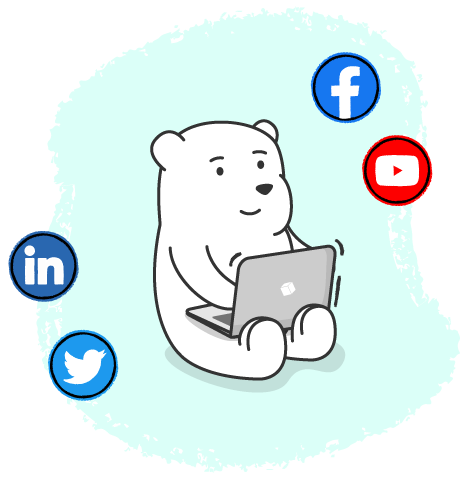 Social media bear