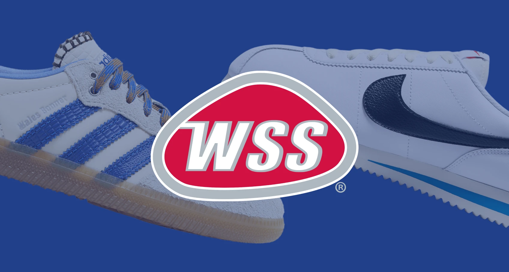 WSS Products and Logo - Cover