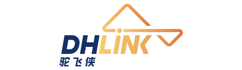 Dhlink Logo