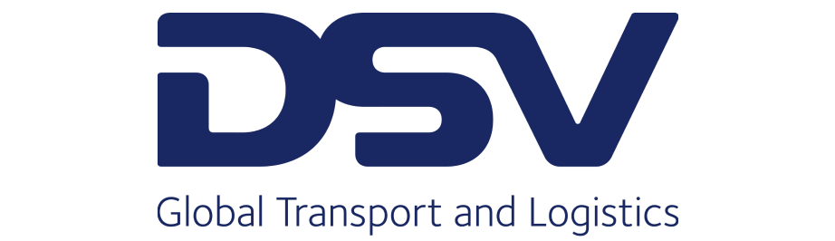 dsv logo