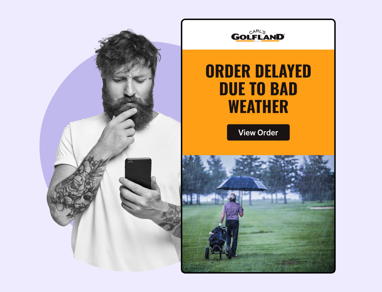 WeSupply Delay Notification - used by Carls Golfland